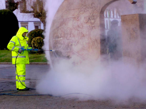 Best Roof Pressure Washing  in Mayer, AZ